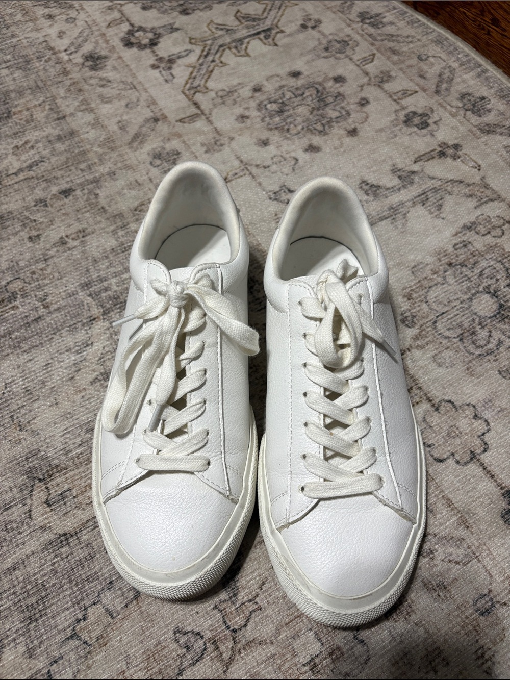 Steve Madden White Leather Low-Top Sneakers